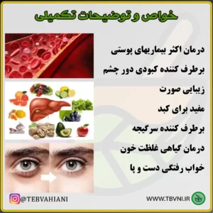 توضیحات صاف کننده خون